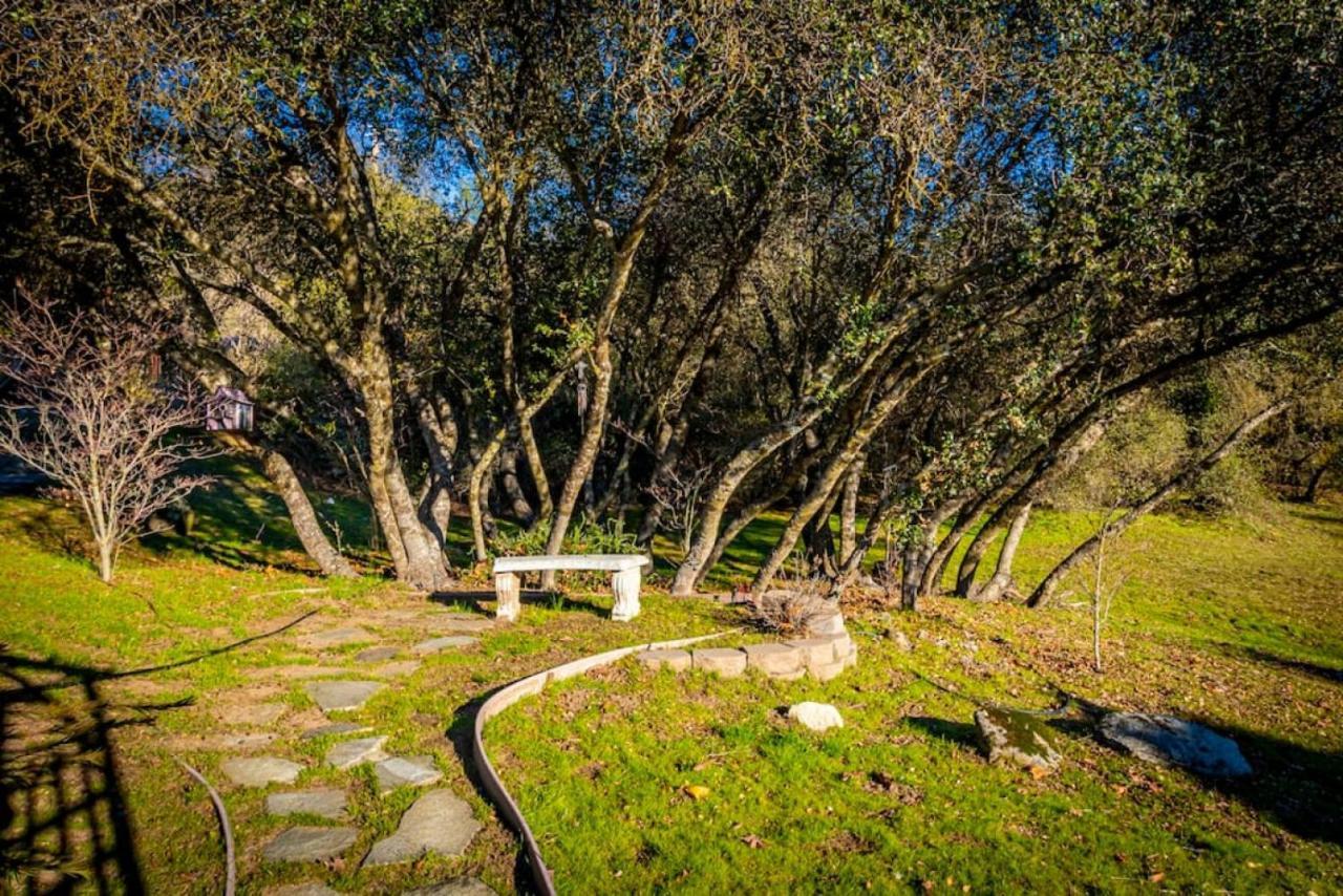 Fairy Tale 13-Acre Sunset Villa At Windy Gap Valley Near Yosemite オーウェニー エクステリア 写真